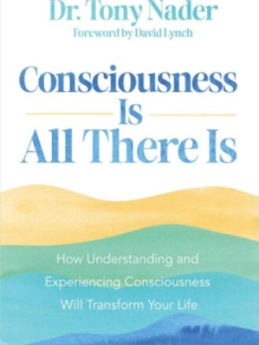 Consciousness is All there Is by Dr. Tony Nader