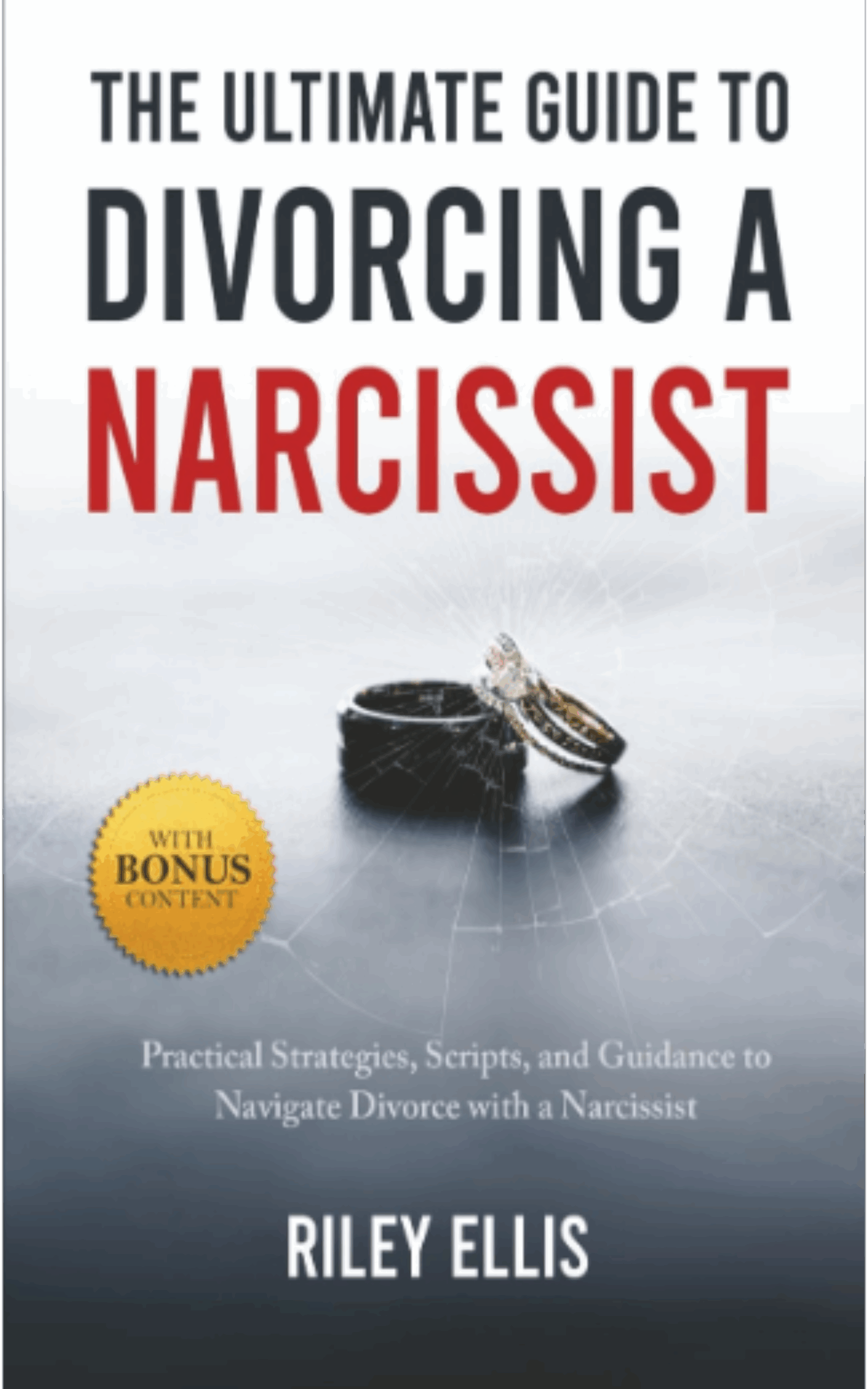 First Place:  The Untimate Guide to Divorcing a Narcississt by Riley Ellis