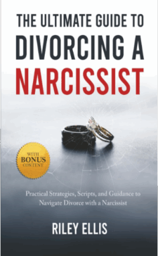 First Place:  The Untimate Guide to Divorcing a Narcississt by Riley Ellis