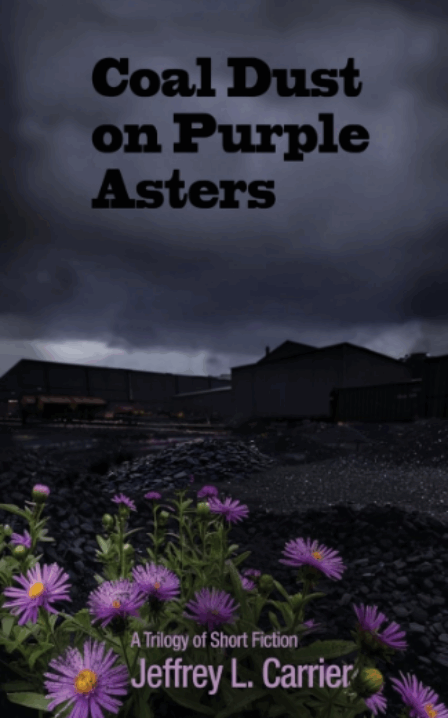 Coal Dust on Purple Asters